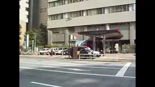 Японская полиция