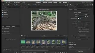 How to make Final Portfolio pdf in Adobe Bridge