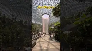 Jewel Changi Airport  #singapore #jewelchangiairport #travel