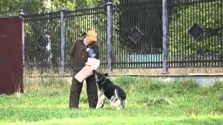 ПРК - Северная Застава Ява