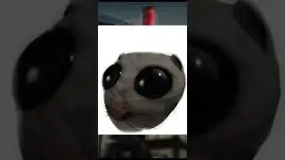 Я vs Друг