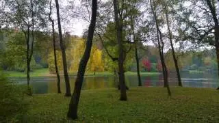 Stourhead, Lake, Autumn, 2016 - 4K