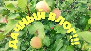 Дачный влог! 🤗Потихоньку заканчиваем ремонт 😃🥰!