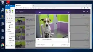 An RPA Use Case with UiPath
