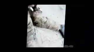 Солдат 