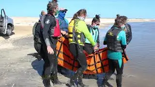 SeaWorld Dolphin Rescue - Louisiana