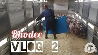 VLOG #2 Rhodee - Speenbiggen verplaatsen