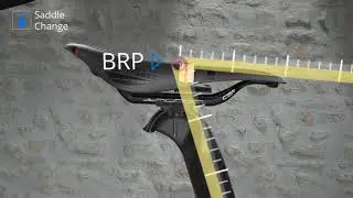 Discover the BRP (Biomechanical Reference Point)