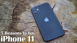 Five Reasons Why You Should Buy The iPhone 11 In 2021!