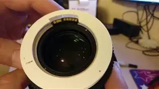 Одуванчик Лушникова на Samyang Canon EF