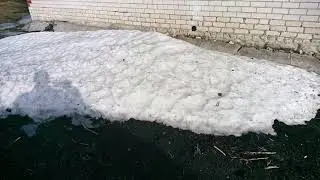 Посев семян в открытый грунт в начале апреля ( апрель 2 число)
