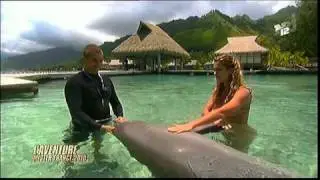 Sexy Girl Swimming with Dolphin