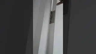 Cara memasang engsel pintu kamar dengan benar dan seimbang