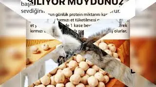 Bunları biliyor muydunuz?
