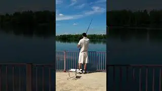 15 июня 2024 г.