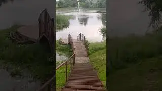 19 июня 2024 г.