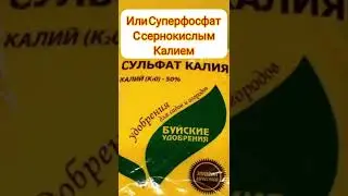 готовим сад к зиме