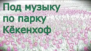 To the music of Keukenhof Park