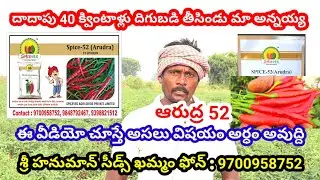 ఇప్పుడున్న పరిస్థితుల్లో ఆరుద్ర 52 ఏసుకోకపోతే కష్టమే | Chilli seeds telugu|Mirapa vithanalu|Mirchi