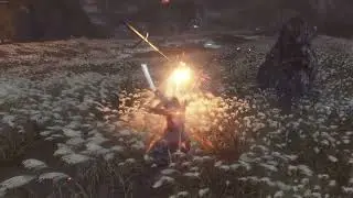 Sekiro + Spotify goes hard
