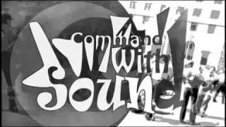 mumford and sons - Little Lion Man (Command With Sound Remix)