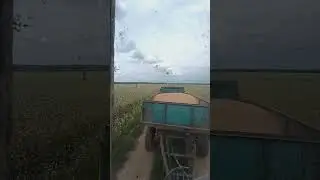 #automobile #agriculture #farm #farmer #machine #сільськежиття #nature #farmlife #юмз