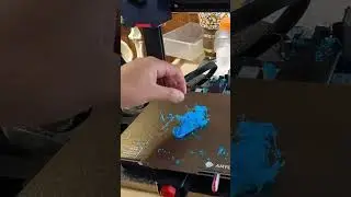 This Did Not Go As Planned