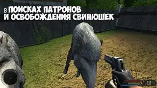 В ПОИСКАХ ПАТРОНОВ И ОСВОБОЖДЕНИЯ СВИНЮШЕК