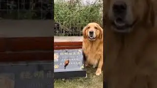 Любовь