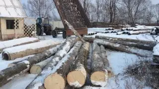 Мтз-82 выгружаем бревна
