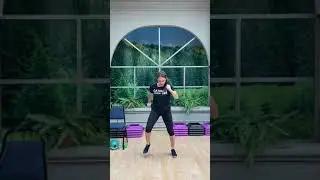 Cathe Friedrich's light intensity workout designed for seniors or someone new to fitness