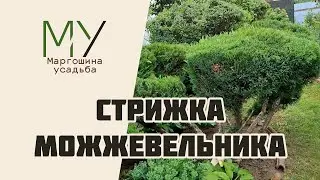 Стрижка можжевельника и декоративных кустов