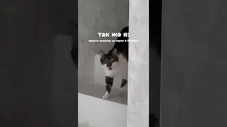 А как у вас?)