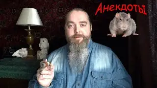 Анекдоты от Крыса, бородатые и хвостатые.