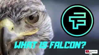 Operation Crypto -Falcon (Fnt) Review