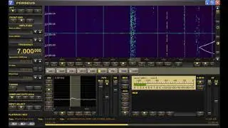 7000 kHz Shortwave Radio Oddity Station UNID Chanters Heard during Sunrise from Michgian