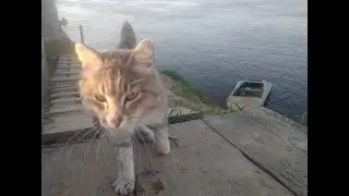Рыбалка на старицах Иртыша в начале июля 2019