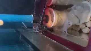 Project 
