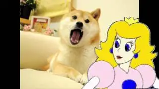 PRINCESS_FINDS_ANCIENT_MEMES_AMUSING.mp4