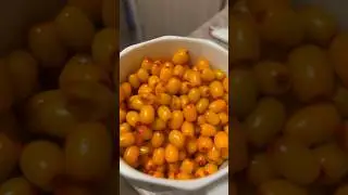 Облепиховая волчица