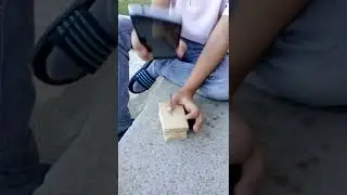 Test telefona na udarce