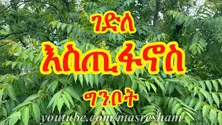 ገድለ እስጢፋኖስ ግንቦት - Gedile Estifanos - Ginbot