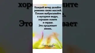 Funny motivation #shorts #цитата #цитаты #poem #poetry #цитатадня #цитатысосмыслом #мотивация #поэт