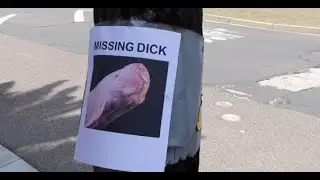 DICK PICS SONG