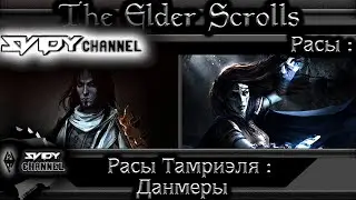 The Elder Scrolls|Расы Тамриэля: Данмеры(Лор)