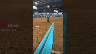 ммааааай литл пооони АААААА #майлитлпони #жиза #рек #прикол