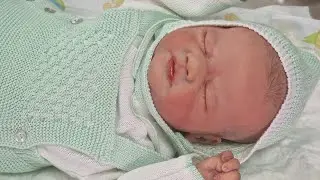 ¡Cachitos Reborn está emitiendo en directo!