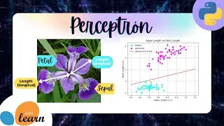 Perceptrón con Scikit-learn en Python 🤖🧠