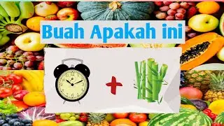 Tips pintar !! Jawab Teka Teki Tebak Gambar Nama Buah Buahan