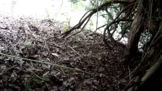 Fireball Squadron 2014 Operation: Redbull Special Bush